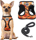 Step-In Dog Harness & Leash Set in Various Patterns – Reflective No Pull (XS- XL)