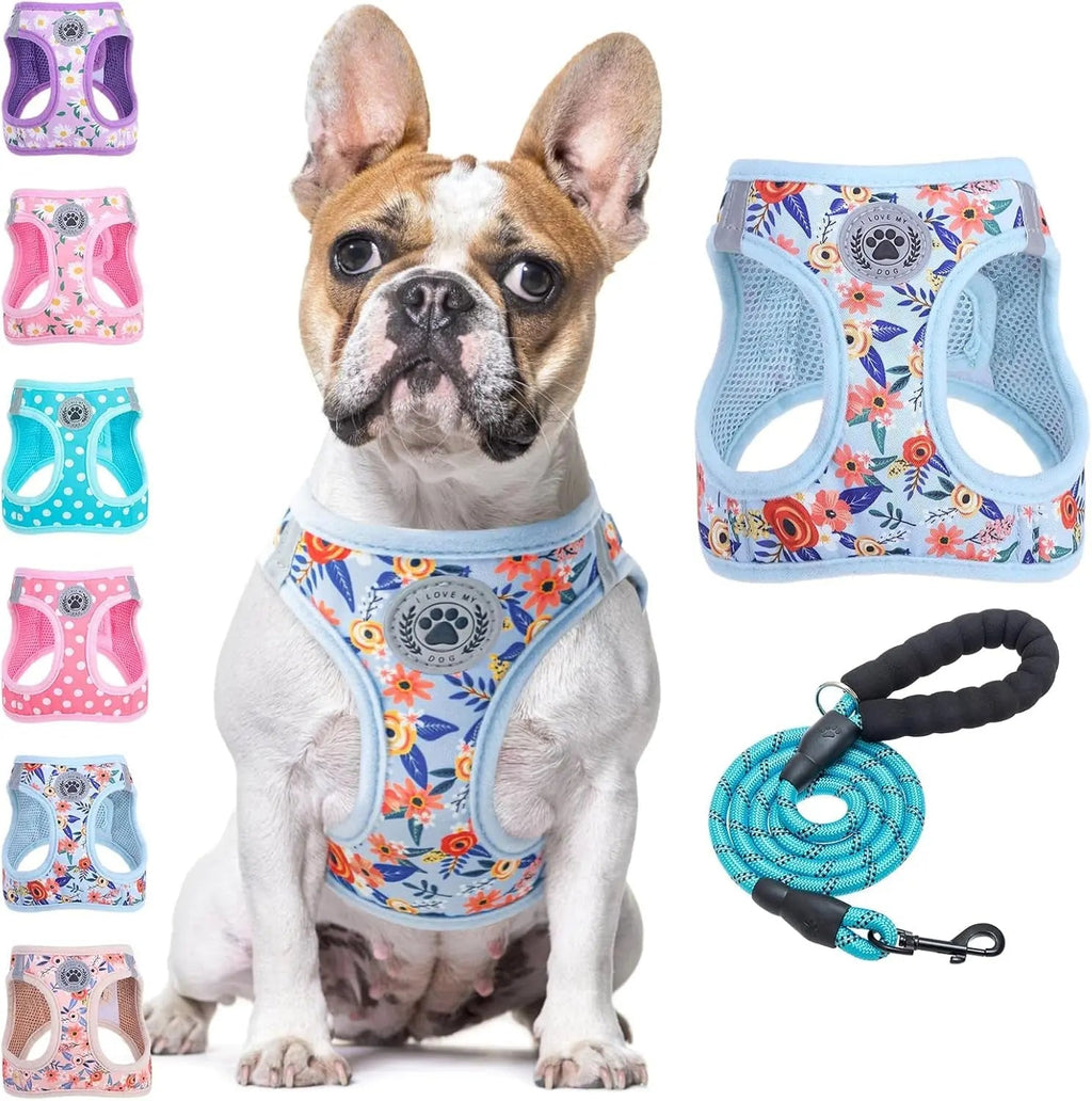 Step-In Dog Harness & Leash Set in Various Patterns – Reflective No Pull (XS- XL)