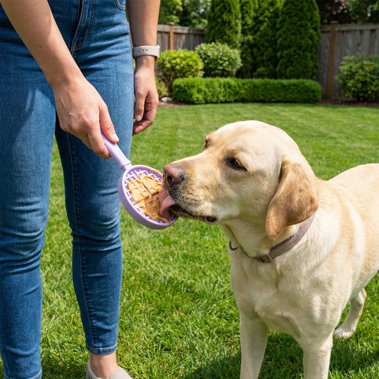 eStick Hand-Held Dog Enrichment Toy - Interactive Lick Stick | USA Made