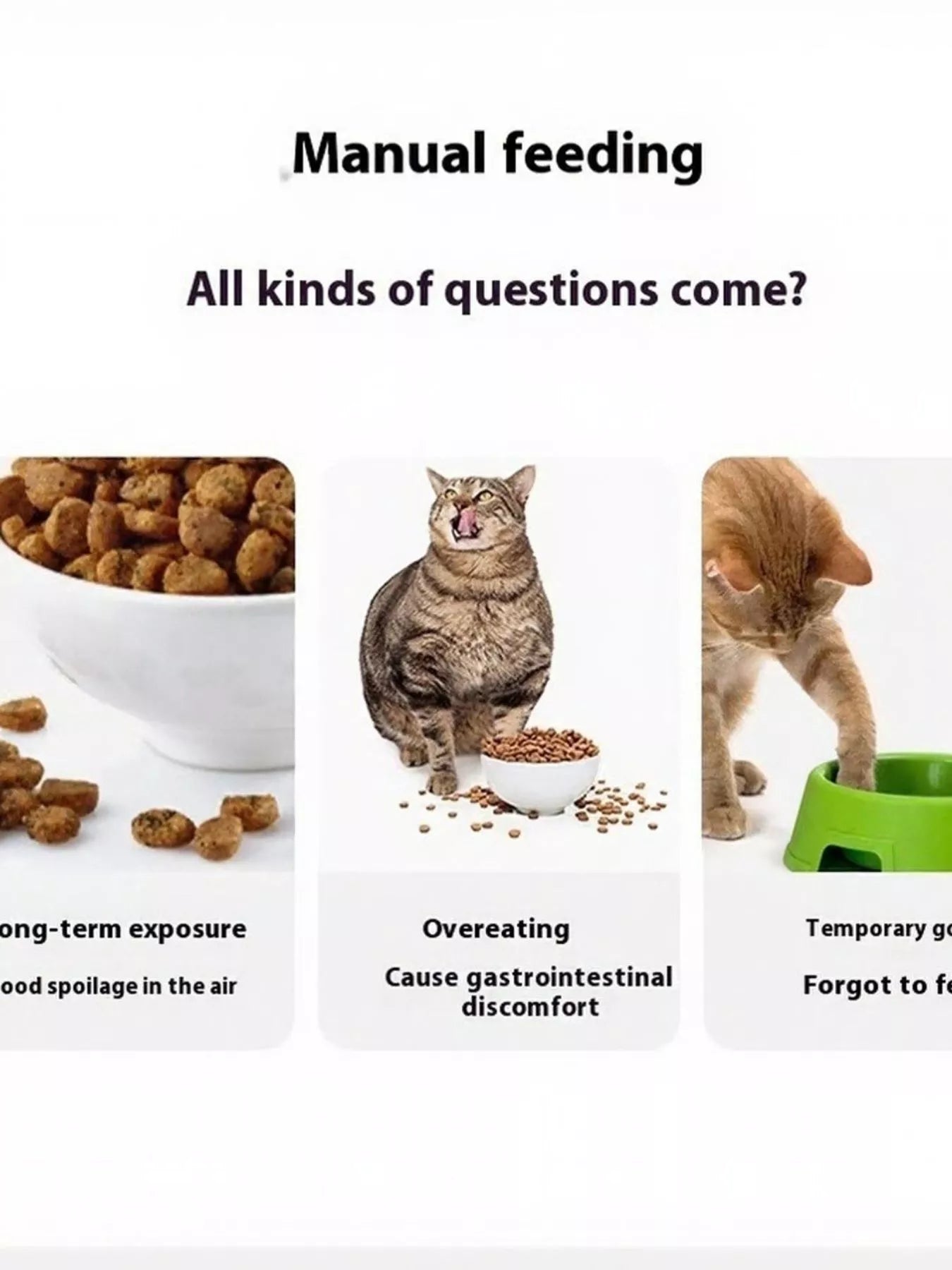 Automatic Pet Feeder with Elevated Bowl
