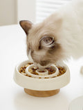 Interactive Slow Feeder Pet Bowl