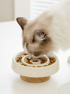 Interactive Slow Feeder Pet Bowl