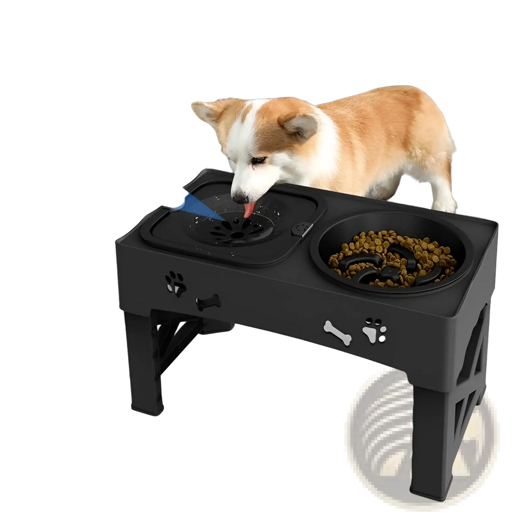 Adjustable Double Stainless Steel Pet Feeder Bowl