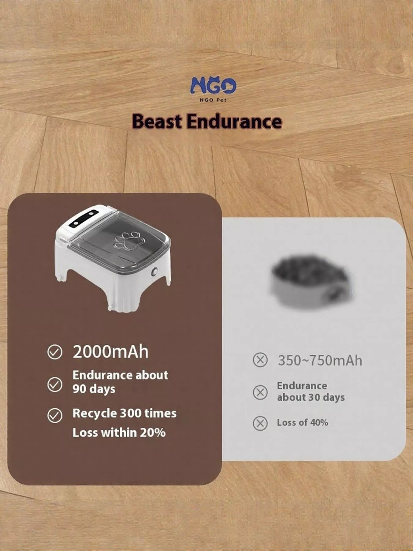 Automatic Pet Feeder with Elevated Bowl