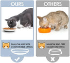 Ceramic Cat Food Bowls Whisker Friendly Cat Bowls With Nonslip Silicone Bottom Cat Food Dishes For Food And Water Cat Food Dishes Wide Shallow Small Cat Plates For Cats Kitten Small Dogs