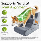 Dog Ramp for Bed Foldable 2 in 1 Stairs Foam Non Slip Pet Steps