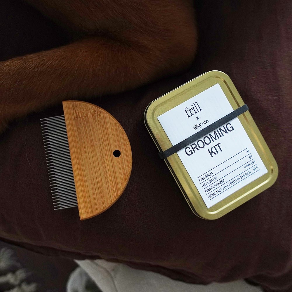 Tilley + Me Bamboo fur detangler and flea comb – Set of 2 | Gentle & Eco-Friendly for Dogs & Cats