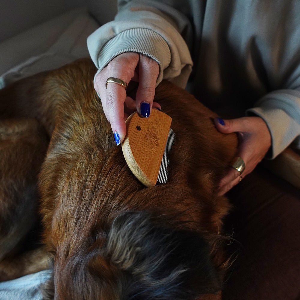 Tilley + Me Bamboo fur detangler and flea comb – Set of 2 | Gentle & Eco-Friendly for Dogs & Cats