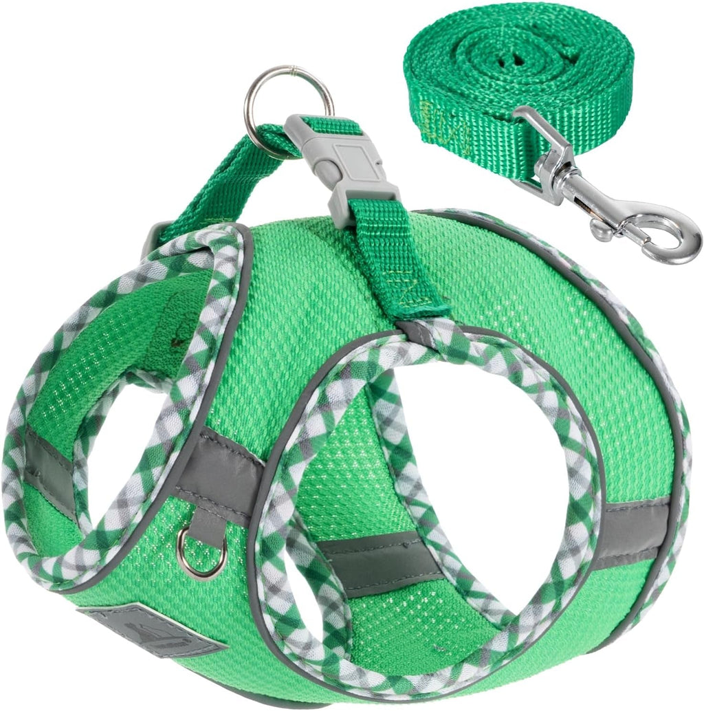 Dog Harness and Leash Set No Pull Reflective Step In Adjustable Small Dogs Cats