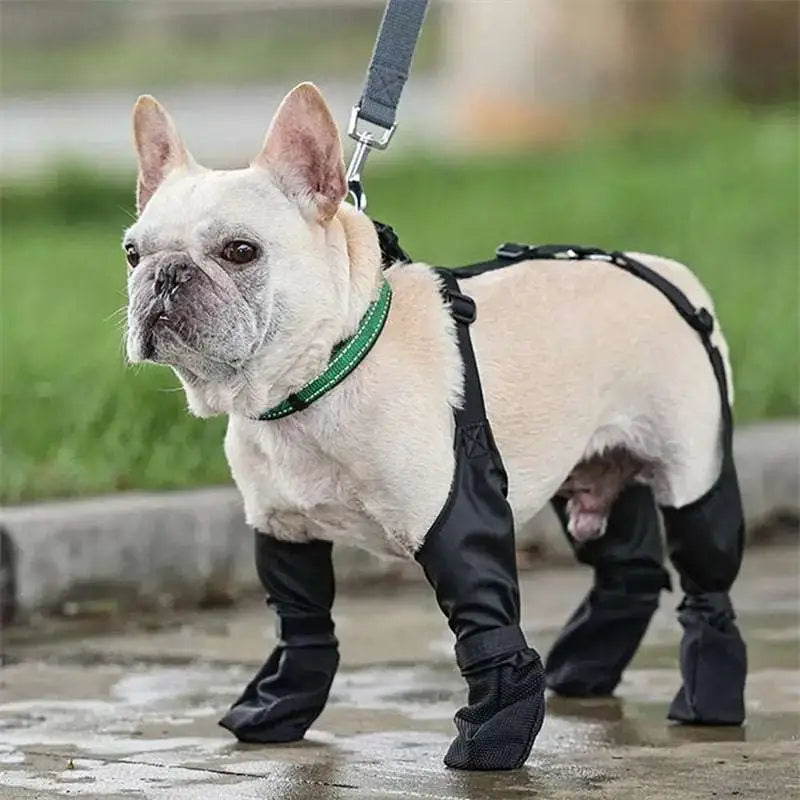 Black Waterproof Adjustable Dog Shoes
