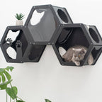 Wall Mount Cat Shelves Black