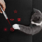 Cats Indoor and Outdoor Laser Toy