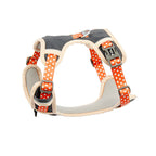 The Dog's Chest Strap Goes Out And Walks Leash