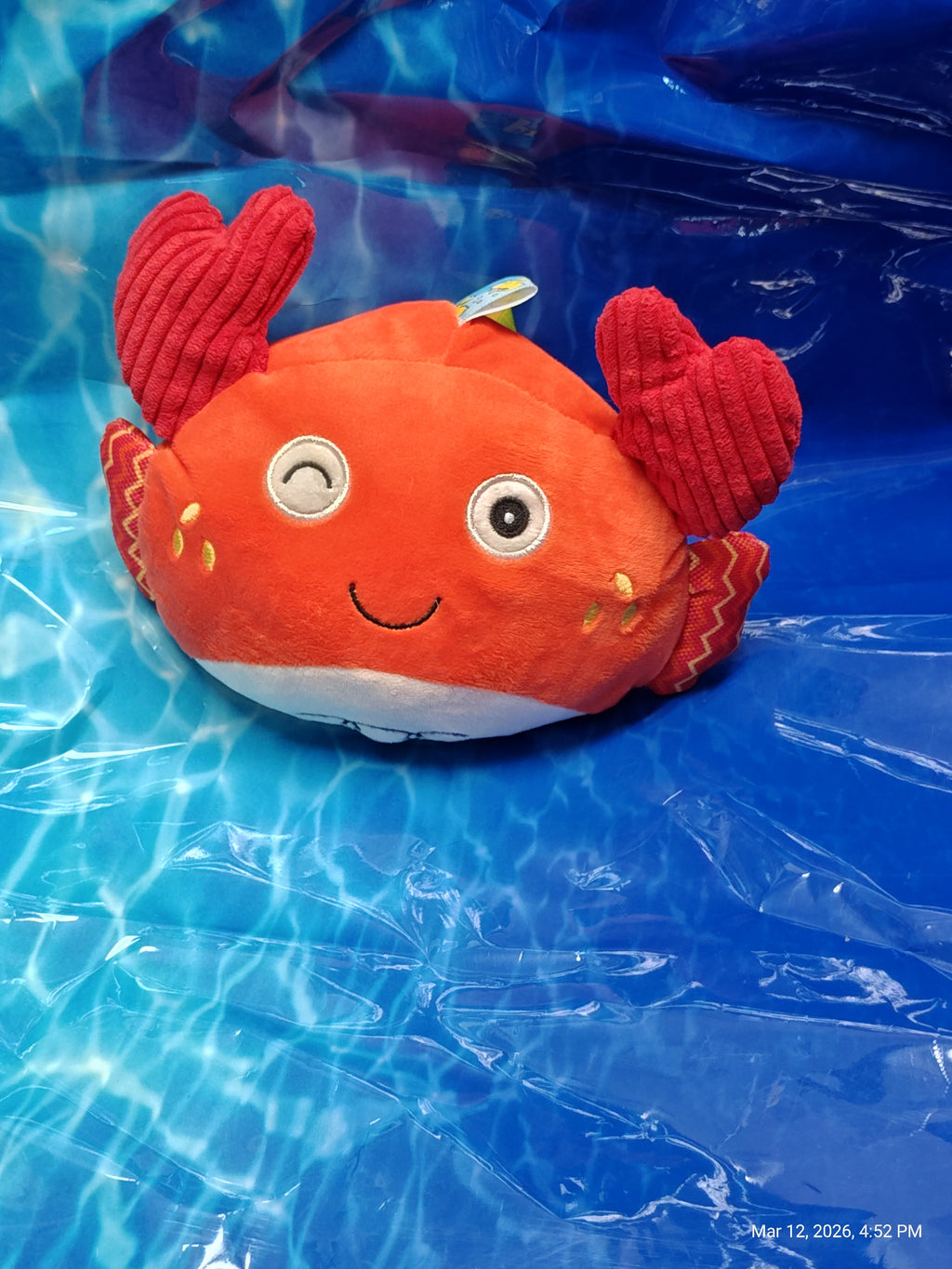 Animal Ball Plush Toys – Squeaky Fun for Your Furry Friends by PNC Family FInds