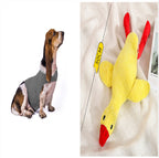 Anxiety Jacket Vest Summer Medical Treatment To Calm Down Cat Clothes Dog Comfort Clothes