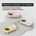 Elevated Dual-Bowl Feeding Station