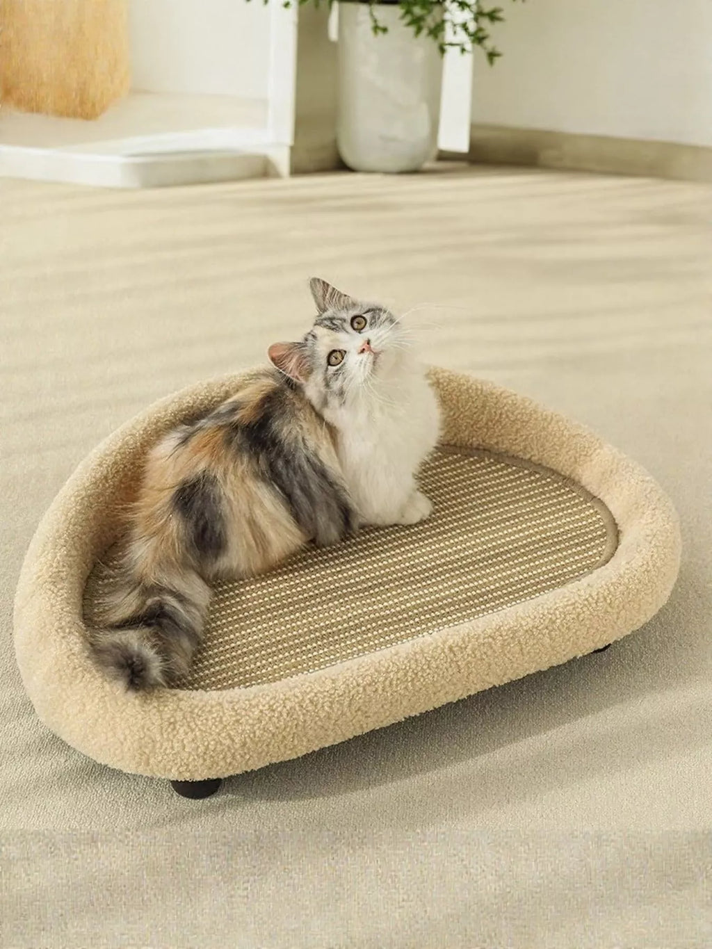 Soft Cat Scratching Post Bed