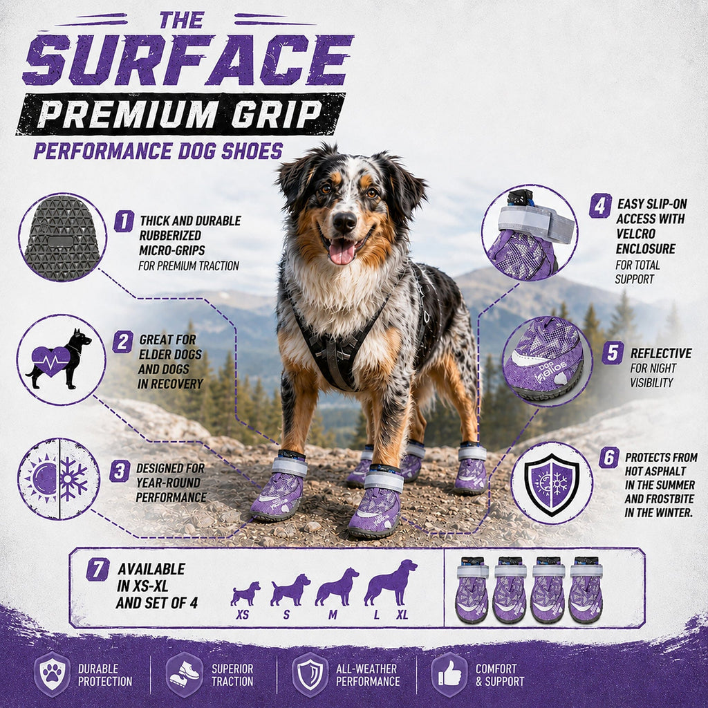 Dog Helios 'Surface' Premium Grip Performance Dog Shoes - Set Of 4