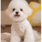 For Autumn And Winter, There Are Thick And Warm Heart-shaped Checkered Pocket Towing Vests, Cotton-padded Clothes, And Two-legged Pet Dog Clothes For Cats