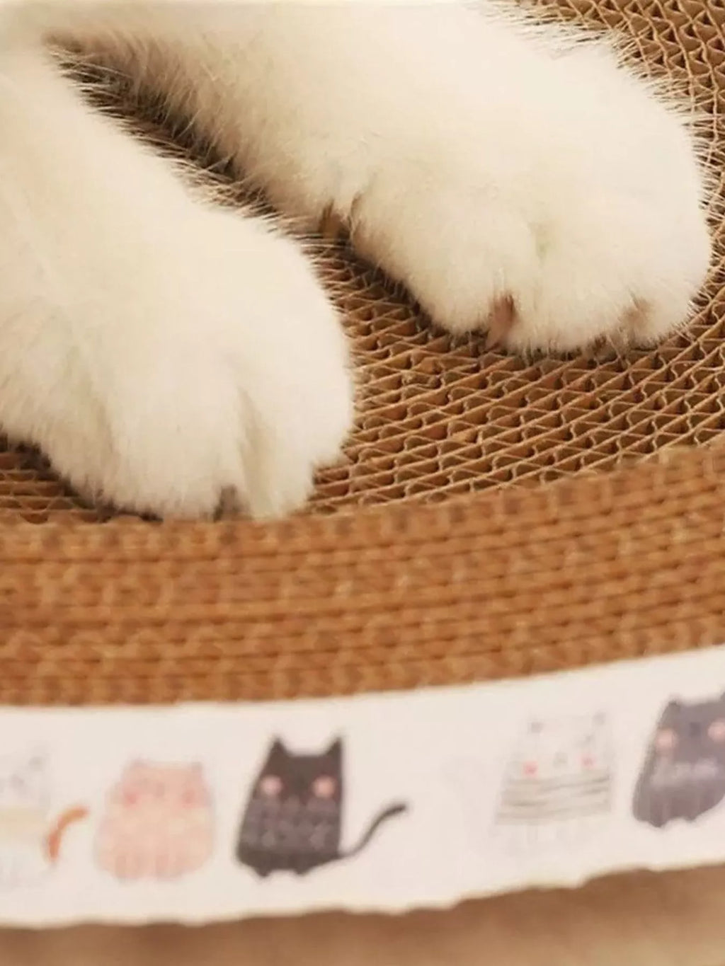 Wear-Resistant Cat Scratching Lounge Bed