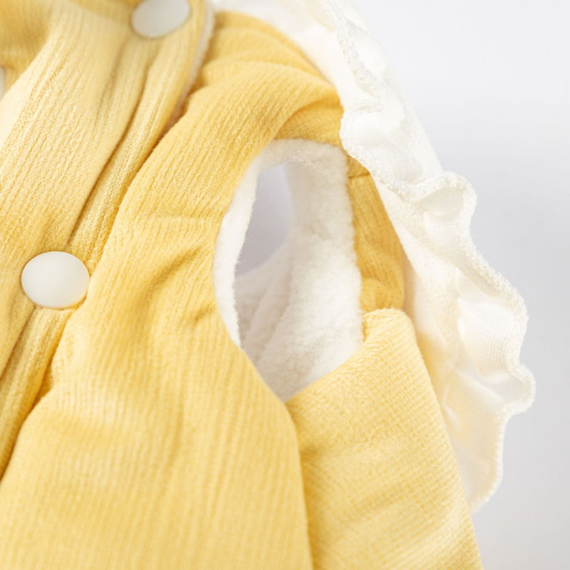 Wholesale Of Pet Clothes, Small Dog Clothes, Cute Little Rabbit Tails, Cotton-padded Clothes, Bichon Frise, Teddy Cat And Dog Clothes