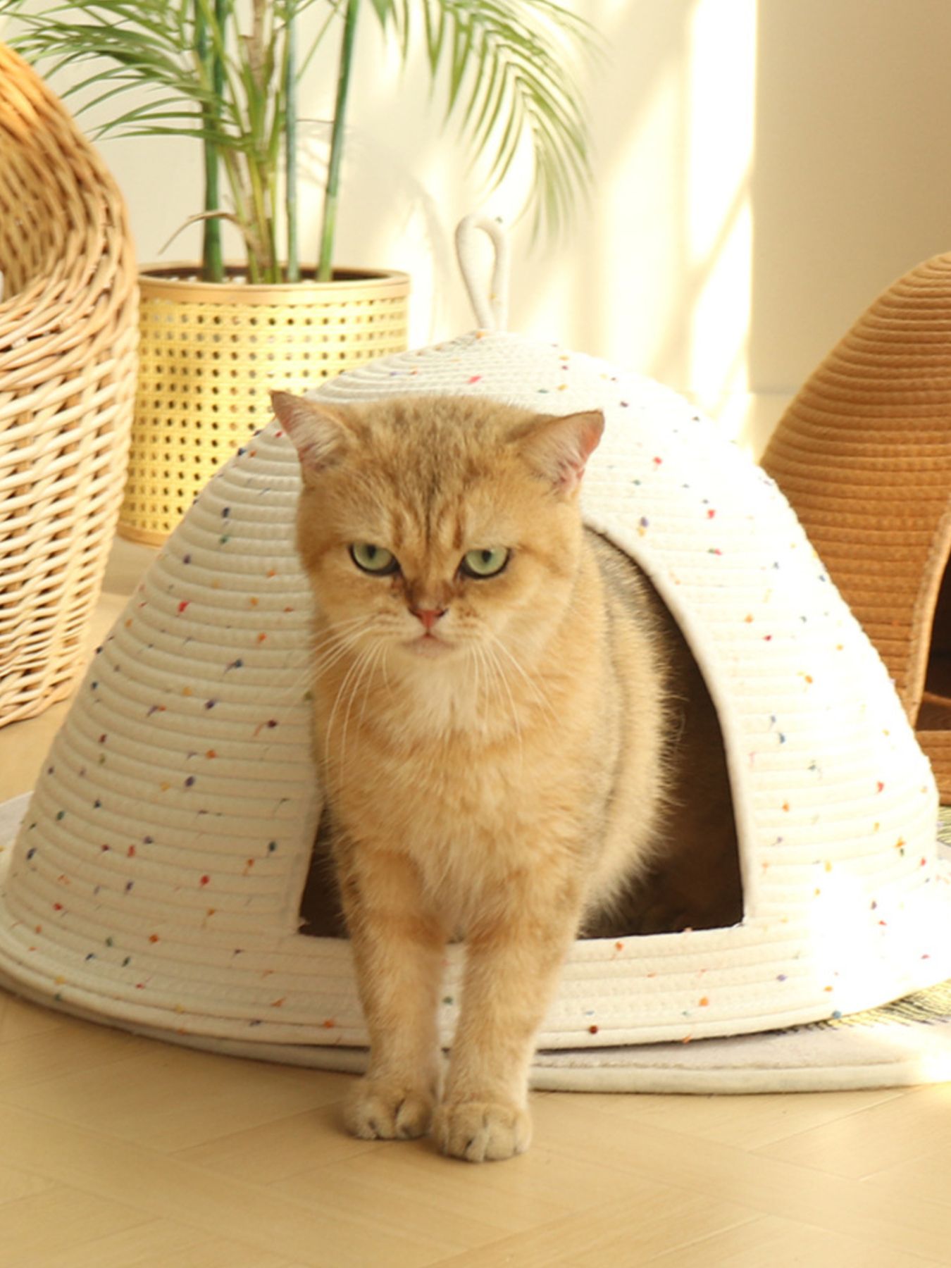 Cozy Rope Woven Cat Cave Bed with Handle
