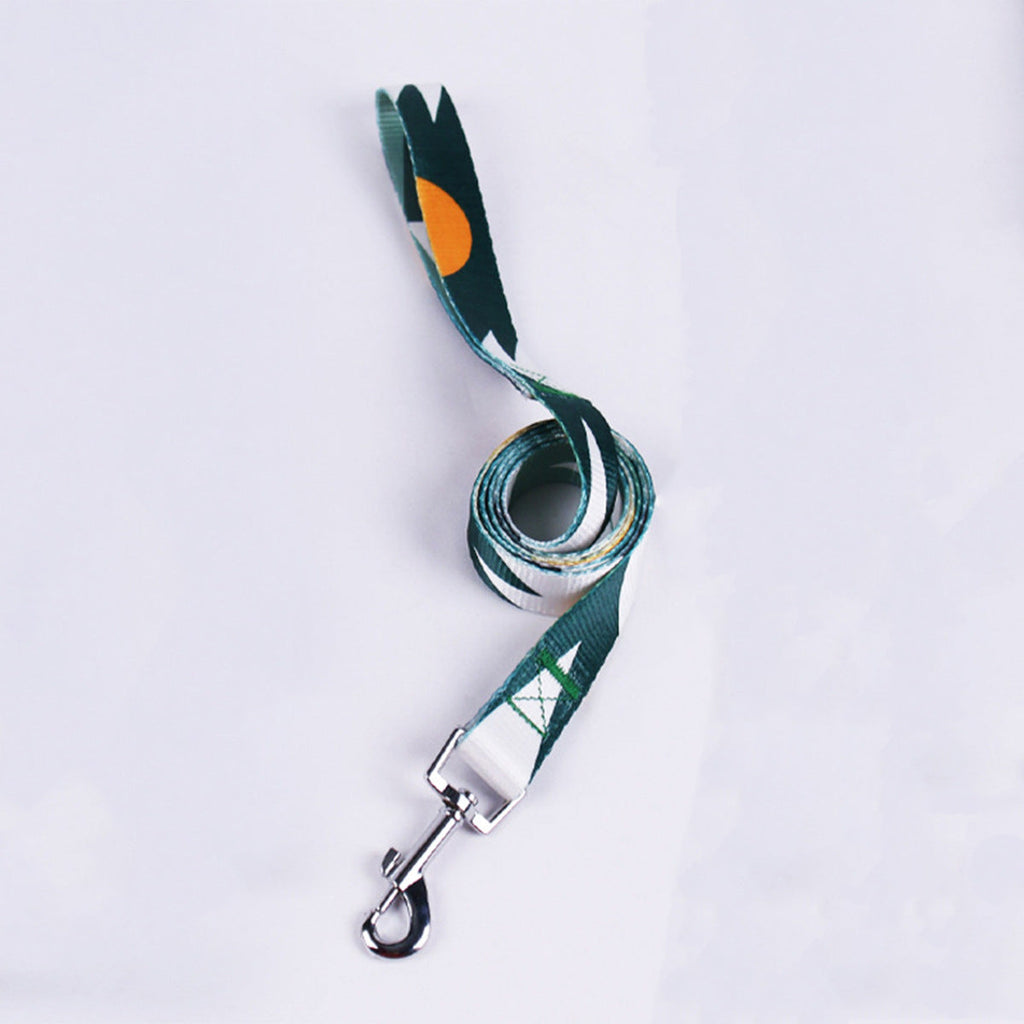 Hand Holding Rope Outing Dog Leash Dog Collar Three-piece Set