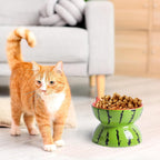 Ceramic Raised Cat Bowl 5In Elevated Wide Cat Bowl For Food And Water Anti Vomiting Tilted Pet Feeder Dish For Indoor Cats And Small Dogs