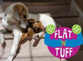 Flat 'n Tuff No Stuffing, No Squeaker Dog Toys: All Sizes