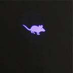 Funny Pet LED Laser Toy Cat Laser Toy Cat Pointer Light Pen Interactive Toy With Bright Animation Mouse Shadow Small Animal Toys Red Dot LED Light Pointer Interactive Toys for Indoor Cats Dogs Of Long Range