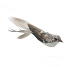 Hands-Free Feather Cat Wand with Bell | Suction Cup Interactive Toy for Hunting and Exercise
