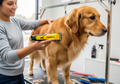 ConairPRO Dog Cat 11-Piece Grooming Kit - Professional Home Clipper All Breeds