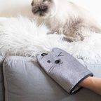Mitten Pet Hair Remover