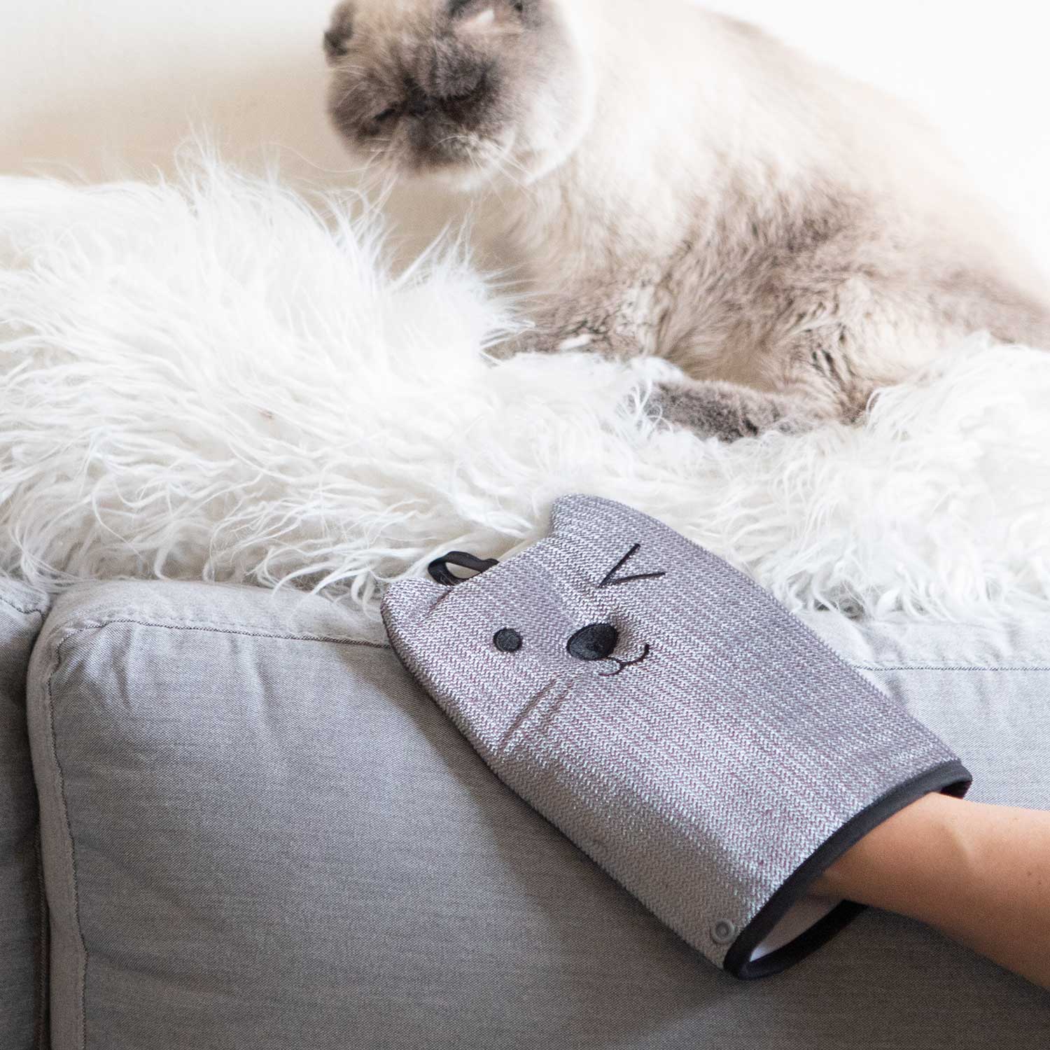 Mitten Pet Hair Remover