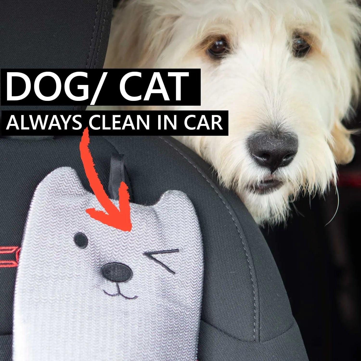 Mitten Pet Hair Remover