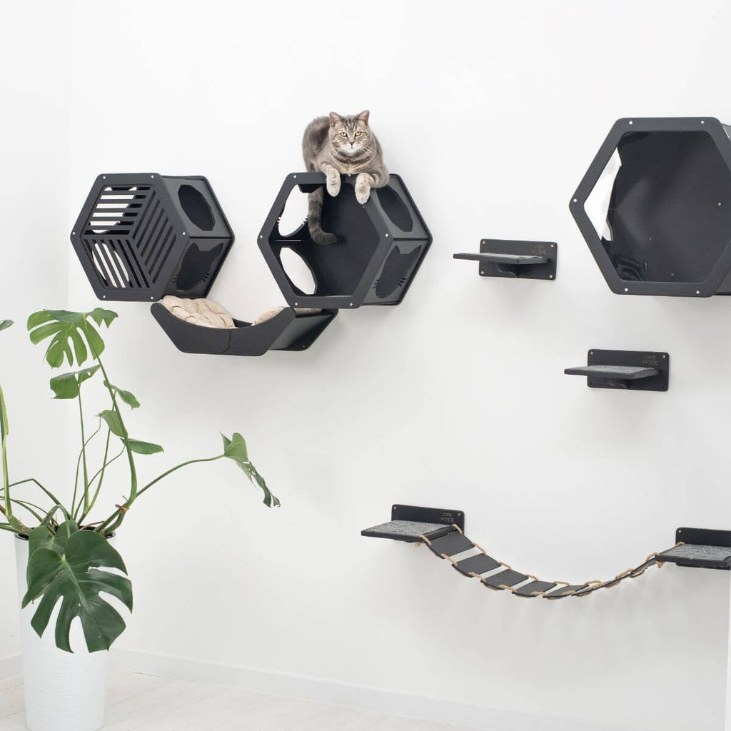 Cat Curve Wall Bed Black