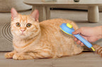 Landwill Pet Brush Yellow Bear Self Cleaning Grooming Tool for Cats & Dogs