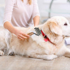 Framad Dematting Brush 2-in-1 Stainless Steel Dog Cat Comb Grooming Tool