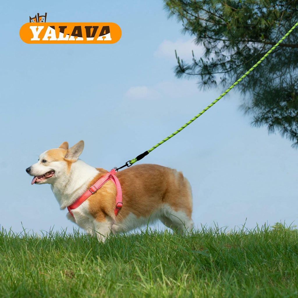 YALAVA Dog Leash 4FT Heavy Duty Reflective Nylon Rope 360° Swivel Hook Black
