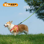 YALAVA Dog Leash 4FT Heavy Duty Reflective Nylon Rope Blue Padded Handle