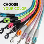 YALAVA Dog Leash 4FT Heavy Duty Reflective Nylon Rope Blue Padded Handle