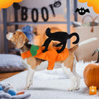 stepsin Dog Saddle Halloween Costume Cat Riding Pet Clothes Small Medium