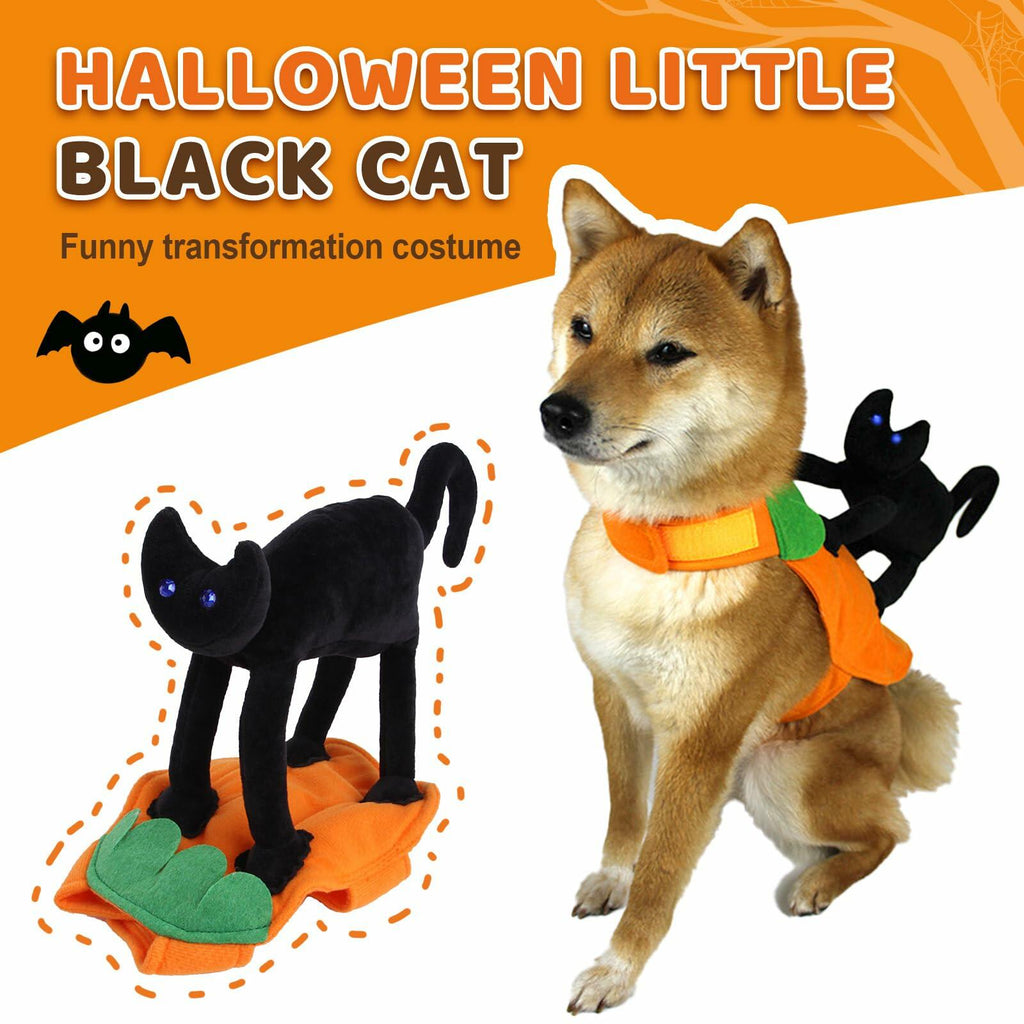 stepsin Dog Saddle Halloween Cat Riding Knight Costume Pet Clothes Size M