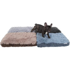 Paws & Pals Bed for Pets