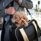 Pet Life ® Mystique Airline Approved Fashion Designer Travel Pet Dog Carrier w/ Pouch