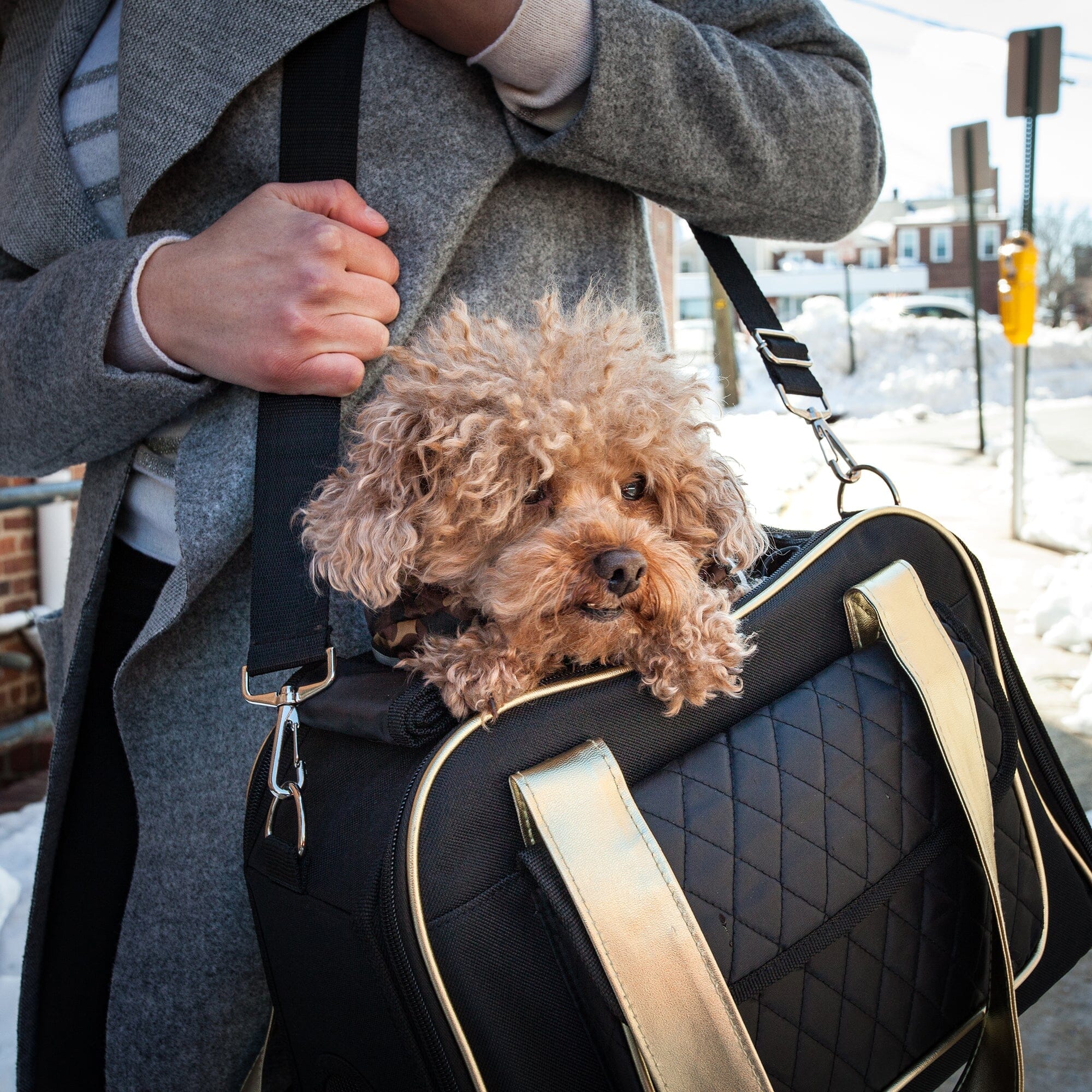 Pet Life ® Mystique Airline Approved Fashion Designer Travel Pet Dog Carrier w/ Pouch