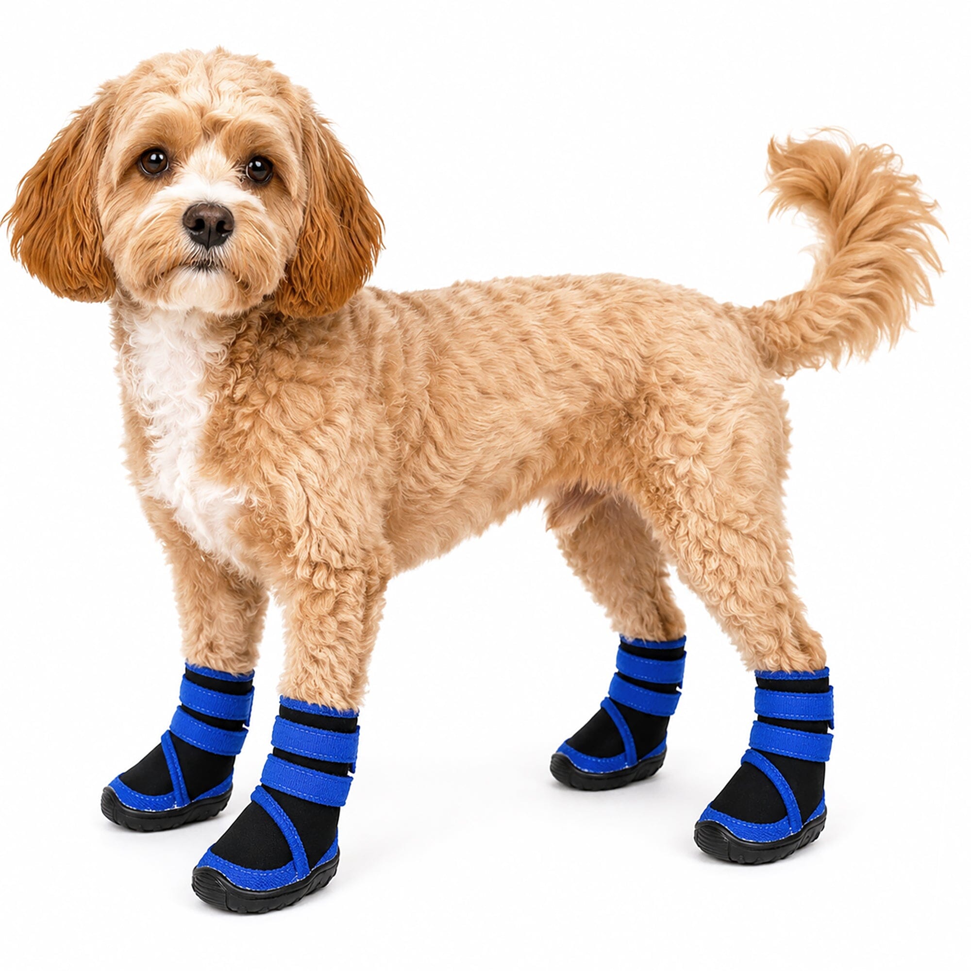 Pet Life ® 'Performance-Coned' Premium Stretch High Ankle Support Dog Shoes - Set Of 4