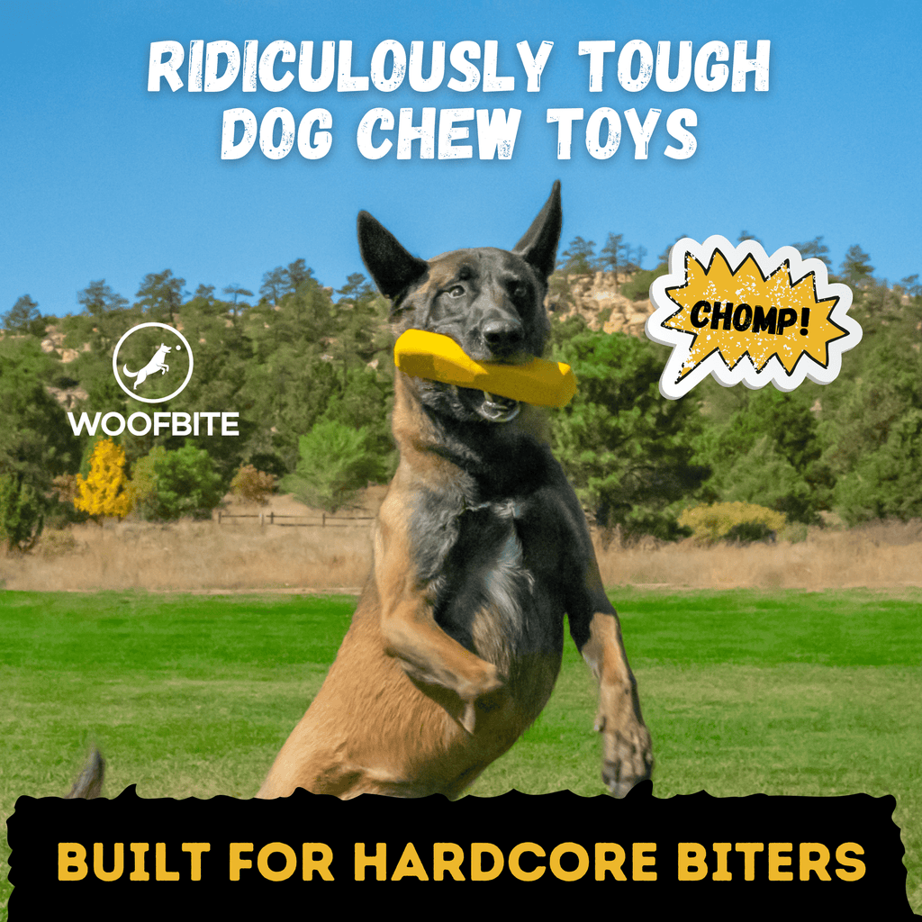Power Stick™
