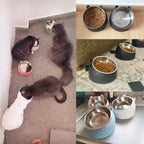 Premium Stainless Steel Cat & Dog Bowls - Non Slip Base for Food & Water