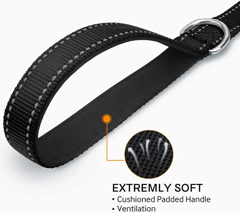 Reflective Pet Leash | Adjustable Polyester Lead Strap for Dogs and Cats